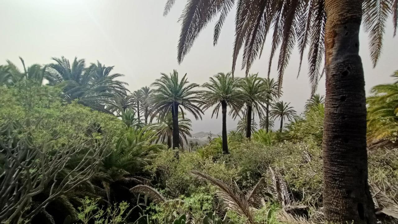 Alquilaencanarias Casa La Playa La Gomera Alojera Eksteriør bilde