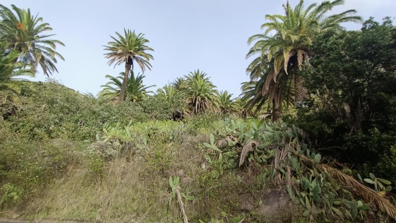 Alquilaencanarias Casa La Playa La Gomera Alojera Eksteriør bilde